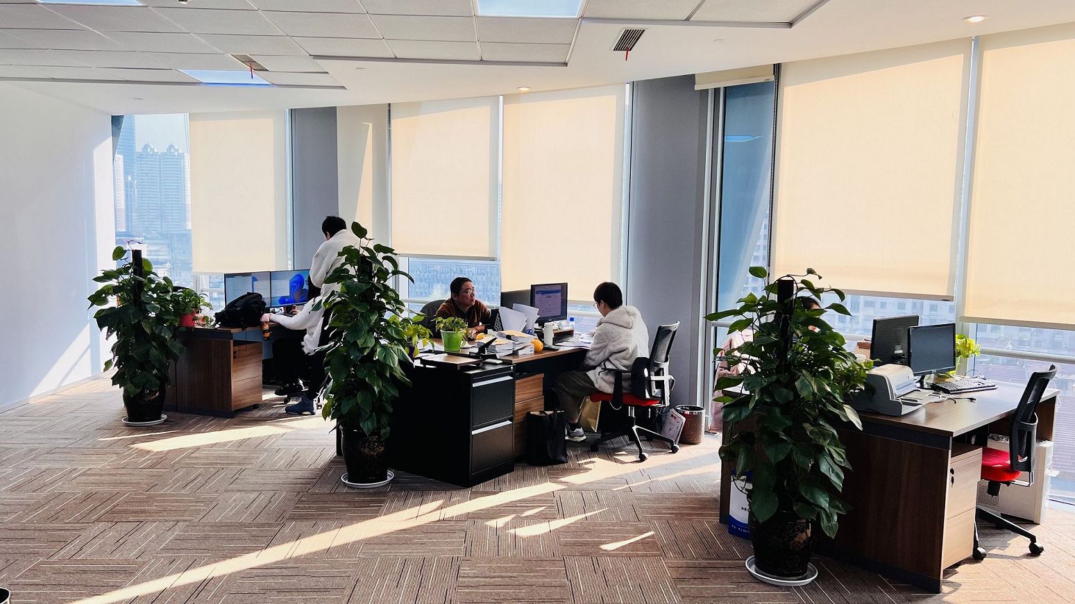 关联交易定价防查的方法