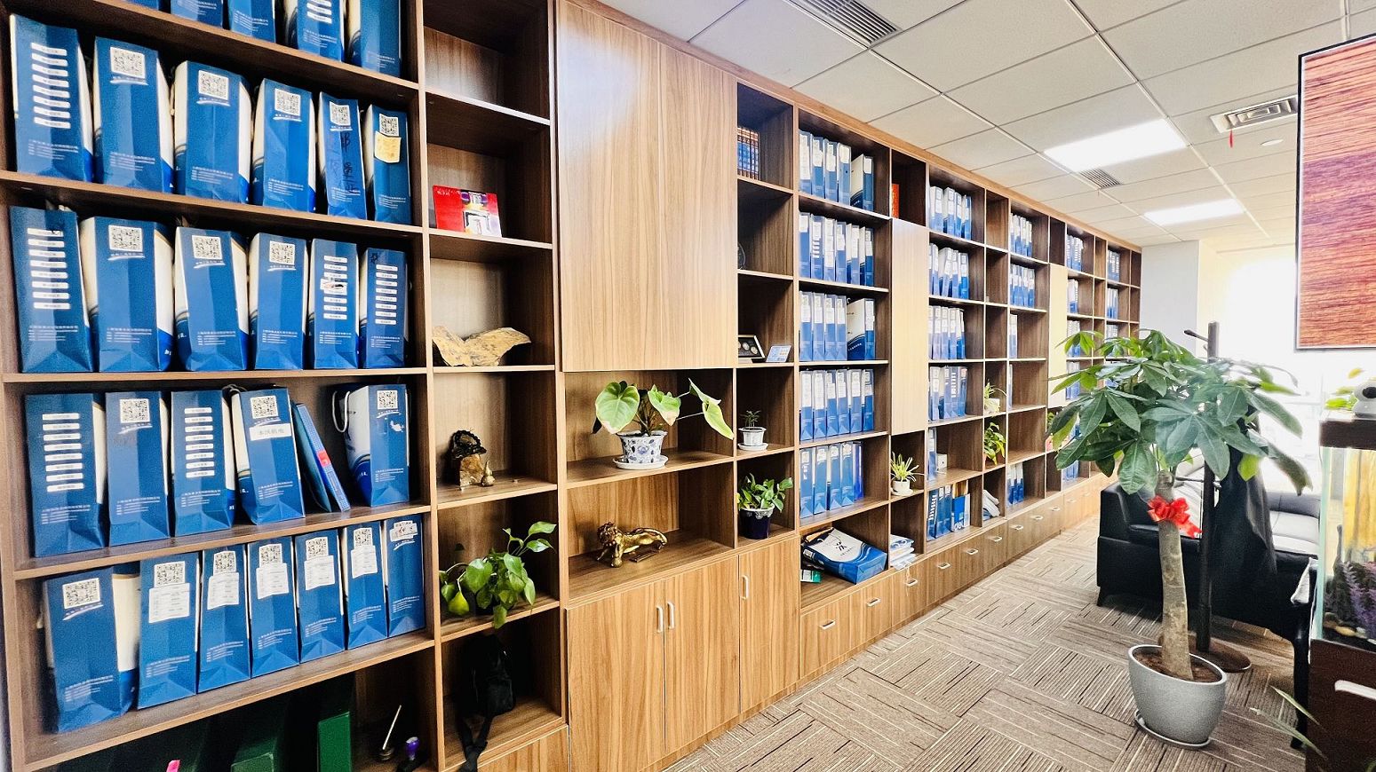 公司已核名但未注册名称防止被他人抢注方法