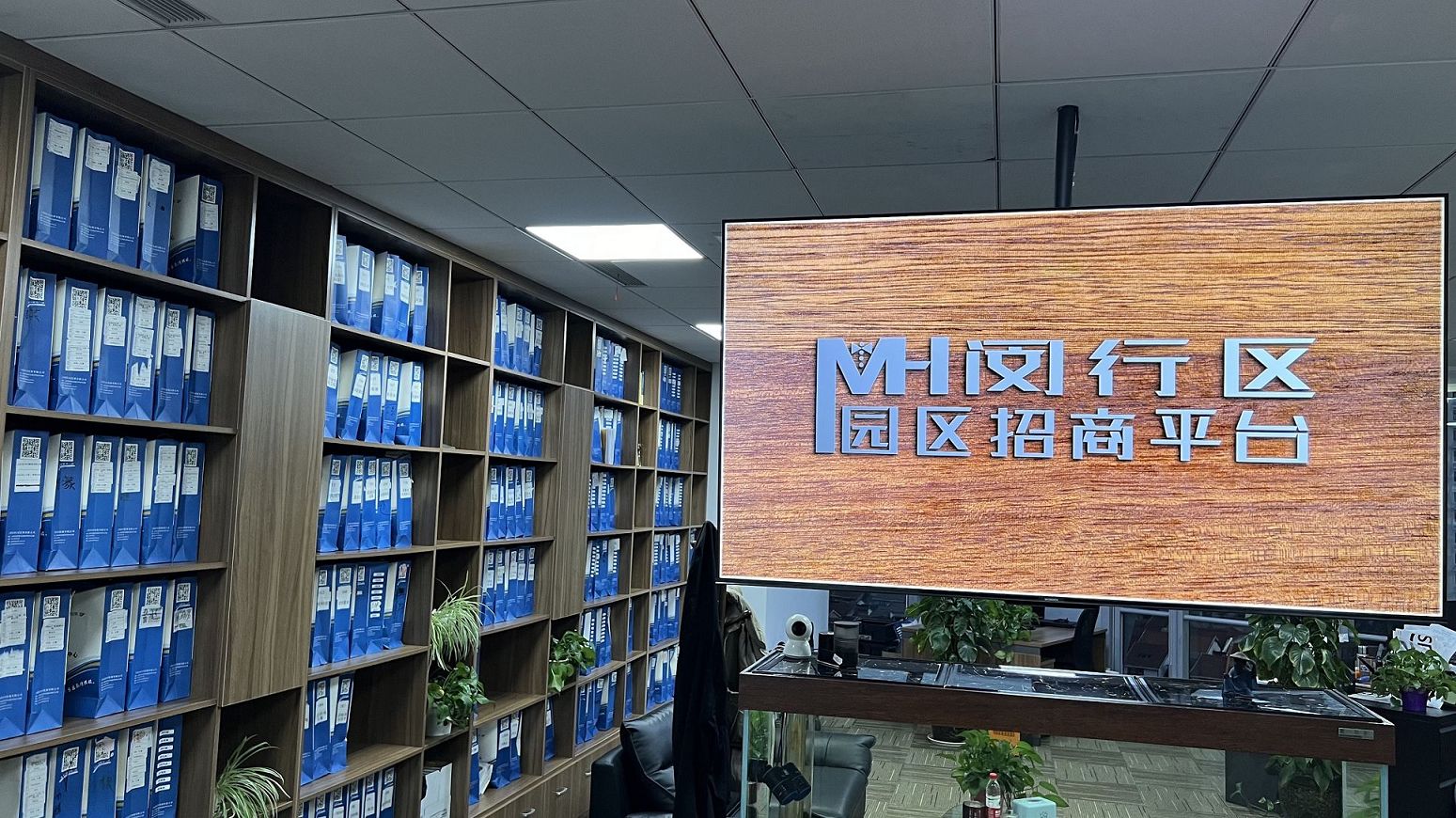 一人有限公司设立时额外承诺材料